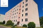 Klein aber fein-1 Raumwohnung zu vermieten zimmer