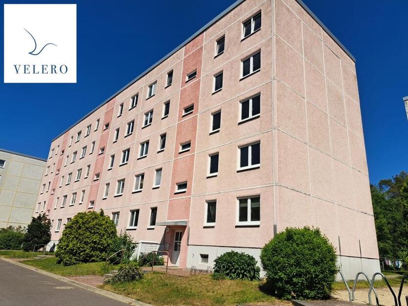 Klein aber fein-1 Raumwohnung zu vermieten zimmer