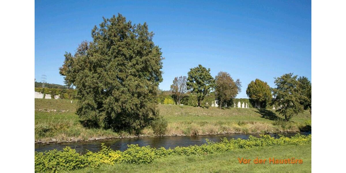 Etagenwohnung Grenzach-Wyhlen Wyhlen - 3 Zimmer, 72 m&sup2;, 1.090&euro; | Angebot:26018838