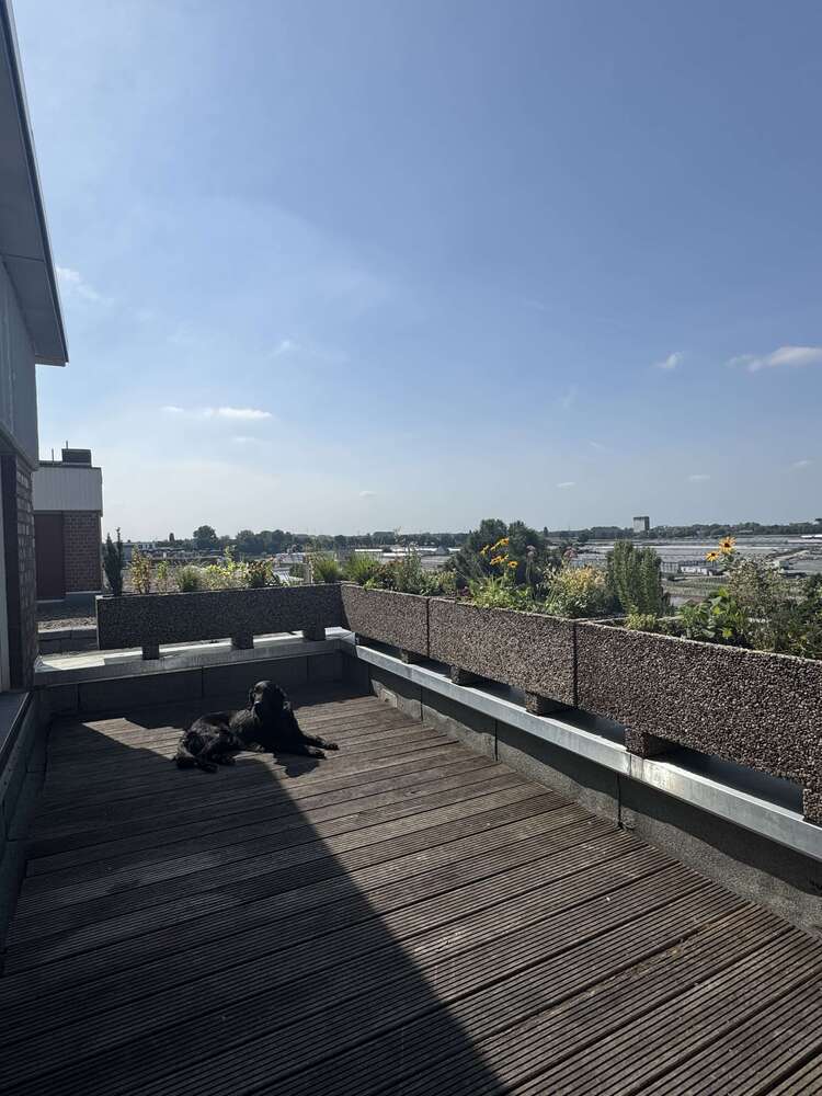 Wohnung zum Mieten in Düsseldorf 2.110 € 132 m²