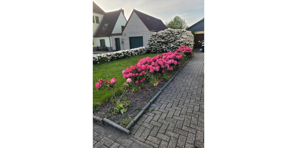 Doppelhaushälfte Brake (Unterweser) - 4 Zimmer, 128 m&sup2;, 1.250&euro; | Angebot:26523116