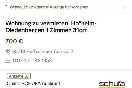 Wohnung Hofheim am Taunus - 1 Zimmer, 31 m&sup2;, 700&euro; | Angebot:25935566