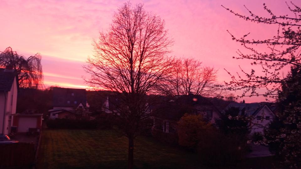 Dachgeschoßwohnung Spenge - 1 Zimmer, 45 m&sup2;, 400&euro; | Angebot:25784134