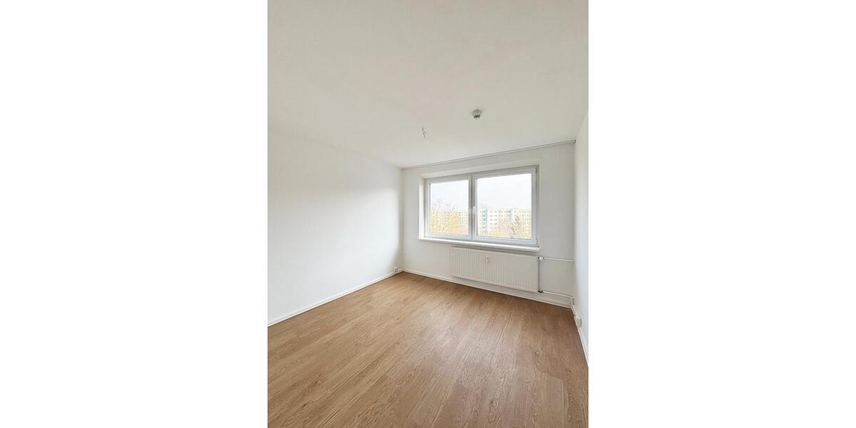 Wohnen auf Zeit Greifswald Groß Schönwalde - 1 Zimmer, 24 m&sup2;, 353&euro; | Angebot:25989794