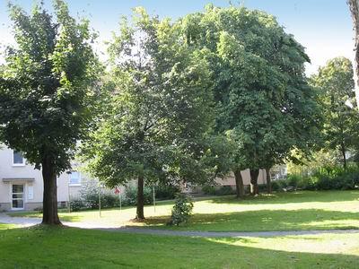 Etagenwohnung Iserlohn Gerlingsen - 2 Zimmer, 44 m&sup2;, 379&euro; | Angebot:25268219