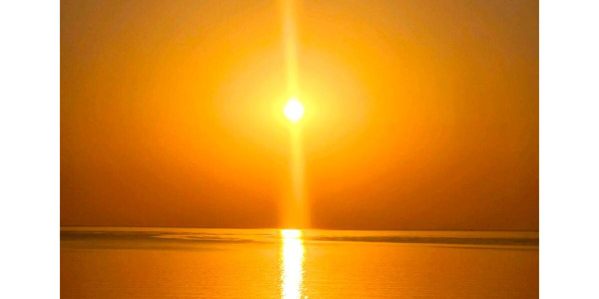 Etagenwohnung Offenbach am Main Bieberer Berg - 2 Zimmer, 77 m&sup2;, 1.300&euro; | Angebot:25975710