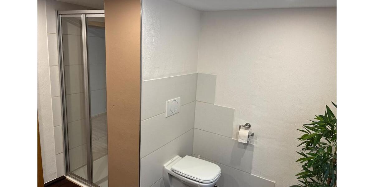 Wohnen auf Zeit Bad Arolsen - 7 Zimmer, 180 m&sup2;, 18&euro; | Angebot:24784198