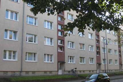 Wohnung zum Mieten in Anklam 335,86 € 47.98 m²
