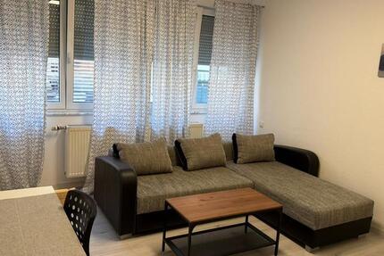 1-Zimmerwohnung mit Internet, TV, Küche mit Essplatz, DuWC, Waschmaschine, Trockner zimmer