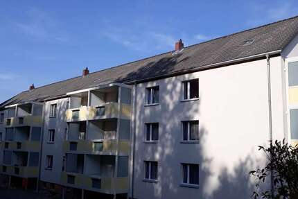 Wohnung zum Mieten in Auerbach 278 € 59 m² 3 zimmer