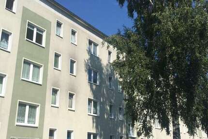 Wohnung Warin Wilhelmshof - 2.5 Zimmer, 58 m&sup2;, 332&euro; | Angebot:26995184