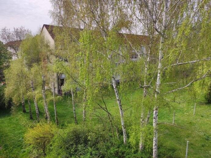 3 -Raum-Wohnung mit Balkon in Regis-Breitingen 3 zimmer