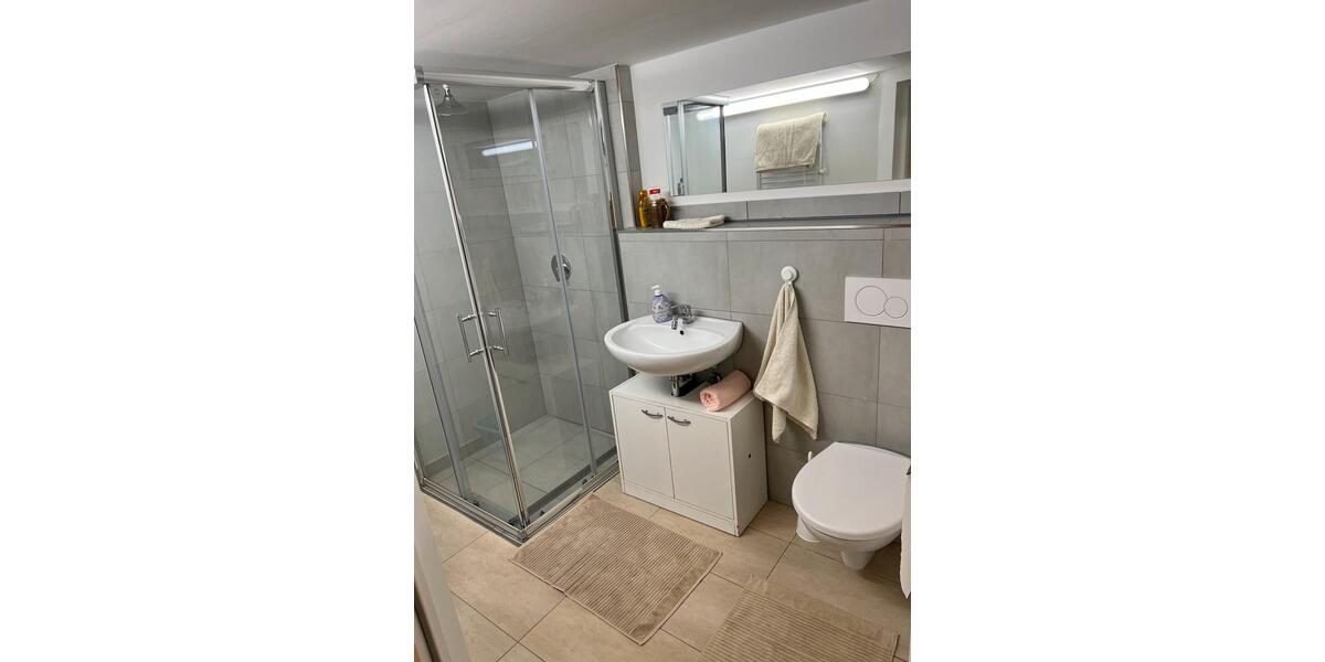 Wohnen auf Zeit Nußloch - 1 Zimmer, 45 m&sup2;, 550&euro; | Angebot:23559813