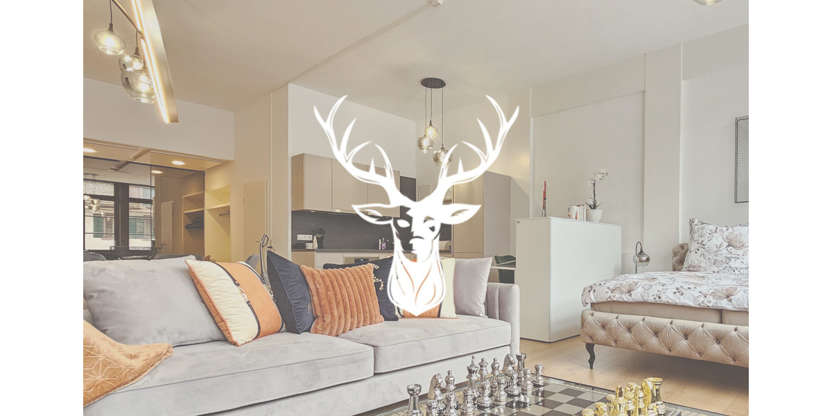 Exklusive Wohnung im Loft-Style vollständig möbliert monatlich anmietbar 1 zimmer