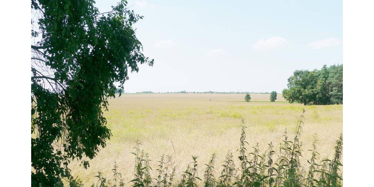 Etagenwohnung Nünchritz Merschwitz - 3 Zimmer, 62 m&sup2;, 320&euro; | Angebot:25998316