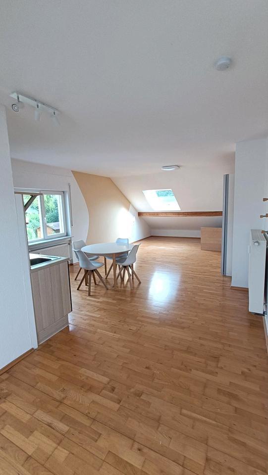 Helle EinZimmerwohnung - für Pendler