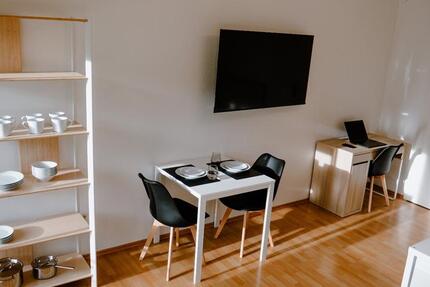 Helle möblierte Einzimmerwohnung (Perfekt für Pendler) 1 zimmer