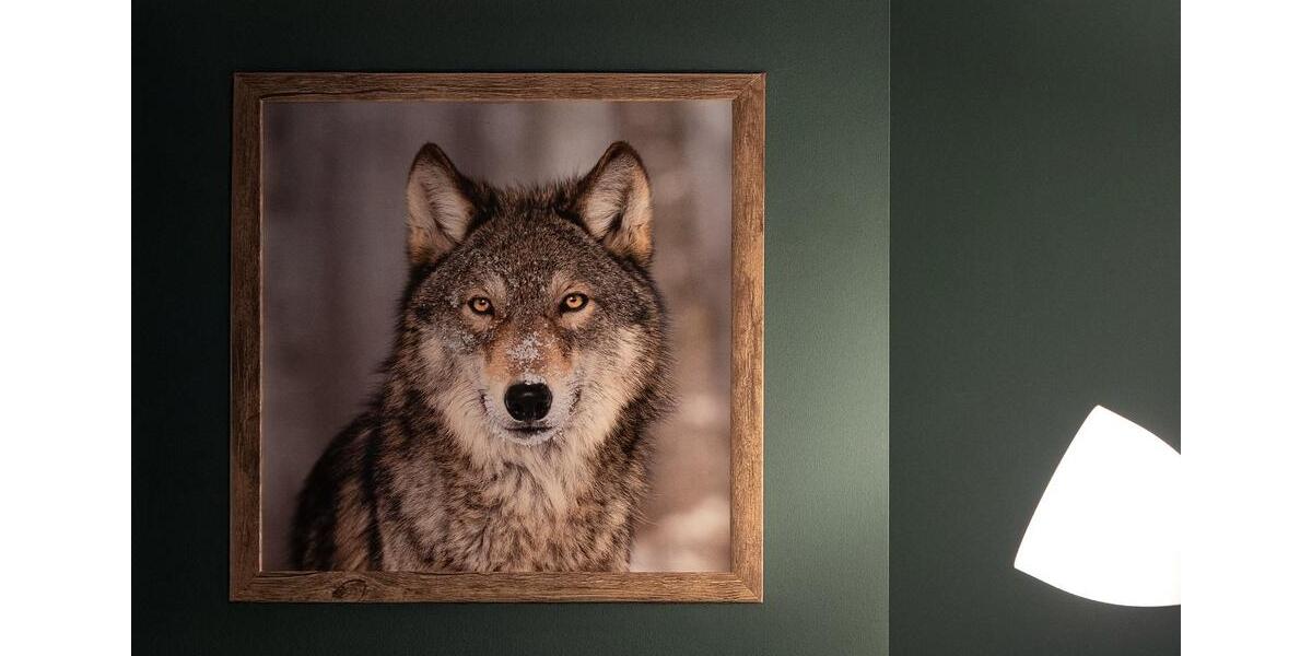 Wohnen auf Zeit Göttingen Roringen - 2 Zimmer, 30 m&sup2;, 70&euro; | Angebot:25271424