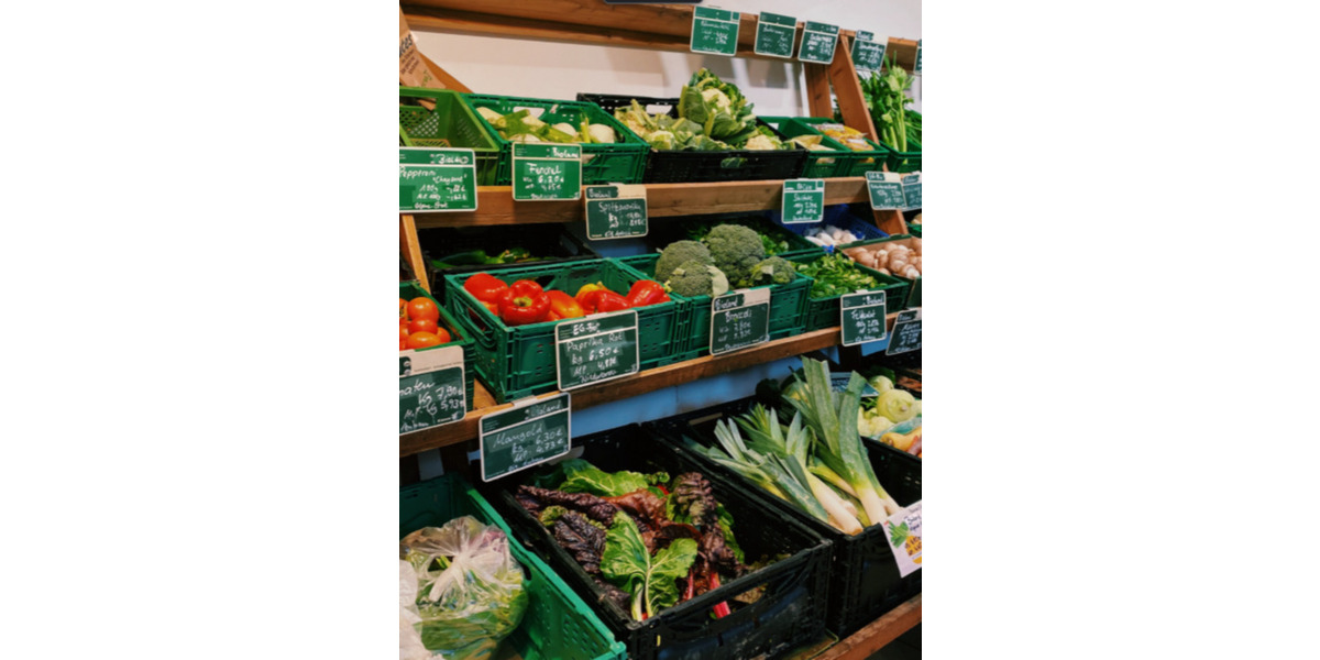 Gewerbeobjekt Kaiserslautern Betzenberg - 2.300&euro; | Angebot:24700355