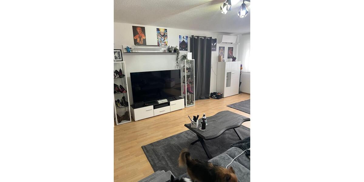 Etagenwohnung Erbach - 2.5 Zimmer, 100 m&sup2;, 1.100&euro; | Angebot:24610917