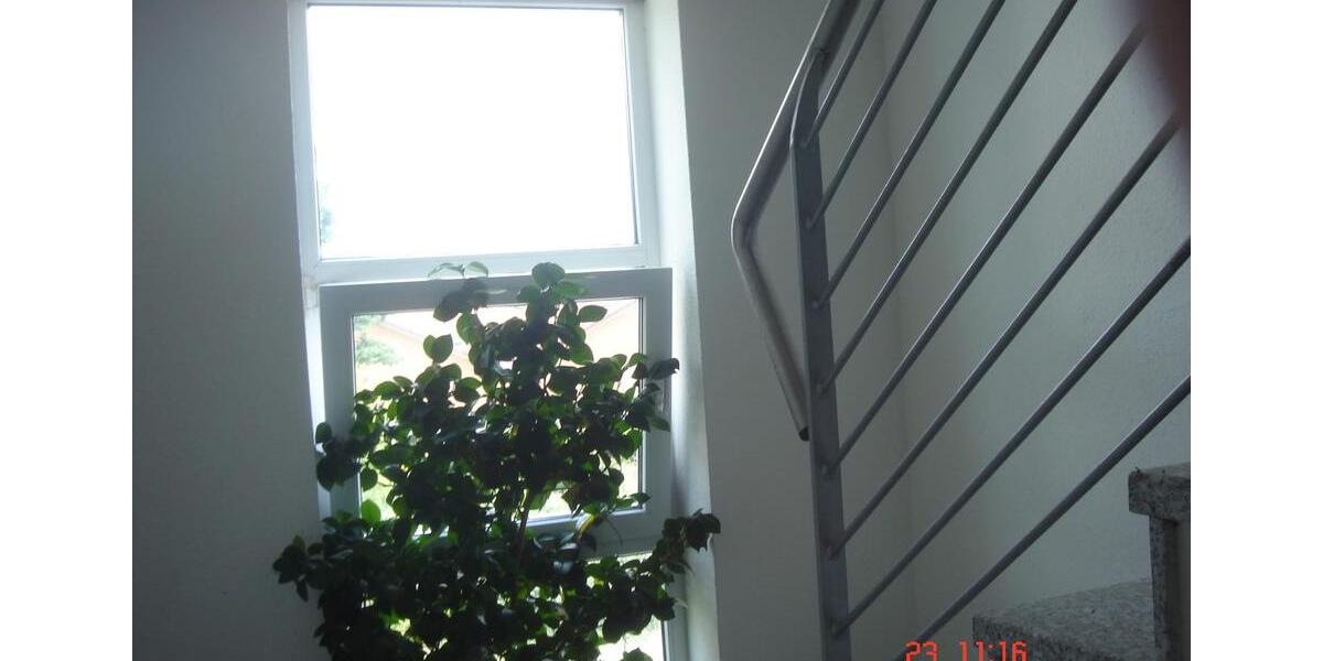 Etagenwohnung Wermsdorf - 1 Zimmer, 39 m&sup2;, 220&euro; | Angebot:24649304