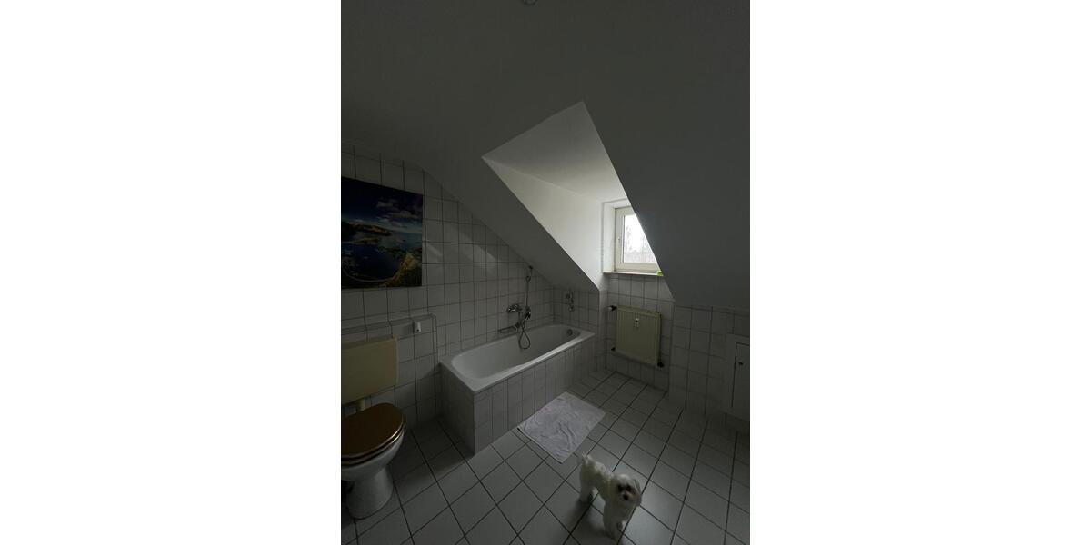 Dachgeschoßwohnung Fulda Fulda-Galerie - 3 Zimmer, 75 m&sup2;, 750&euro; | Angebot:25563655