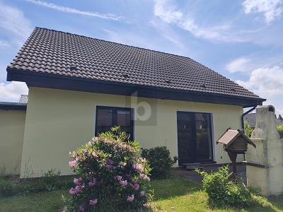 WOHNEN IM GRÜNEN - FREIRAUM FÜR DIE GANZE FAMILIE - Einfamilienhaus Grimma | Angebot:26956530