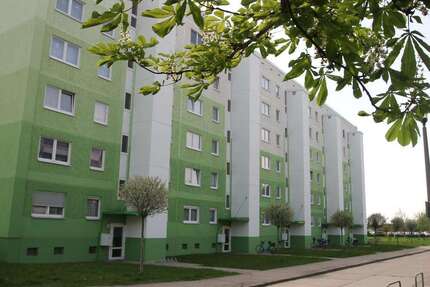 Wohnung Bernburg Roschwitz - 2 Zimmer, 57 m&sup2;, 398&euro; | Angebot:26786524