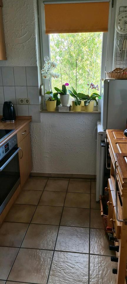 Wohnung zu Vermieten ab 01.10.2025 in 73269 HOCHDORF