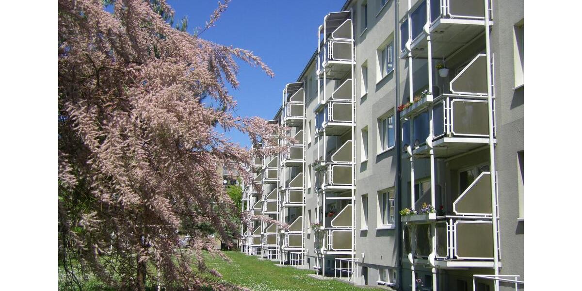 Etagenwohnung Wurzen - 2.5 Zimmer, 60 m&sup2;, 385&euro; | Angebot:25269298