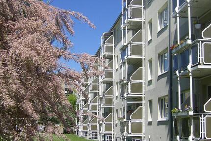 Wohnung Wurzen - 2.5 Zimmer, 60 m&sup2;, 385&euro; | Angebot:25269298