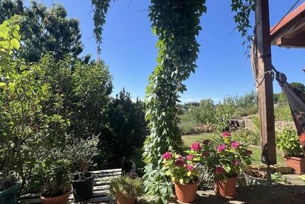 Einfamilienhaus mit Terrasse und Garten in Wolfhagen-Kernstadt 7 zimmer