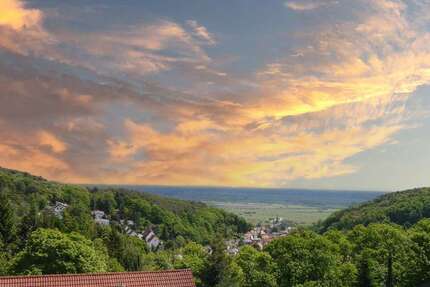 Wohnung zum Mieten in Neustadt an der Weinstraße Hambach an der Weinst 1.150 € 106 m² 3 zimmer