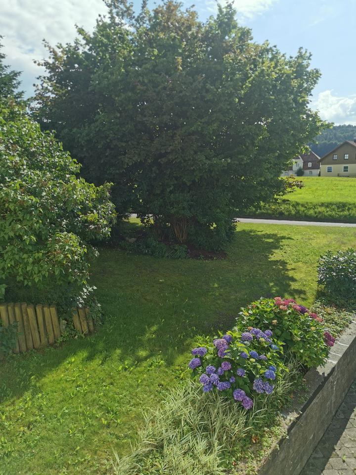 Leben im Grünen - helle 4-Zimmer-Wohnung in Waldmünchen-Geigant