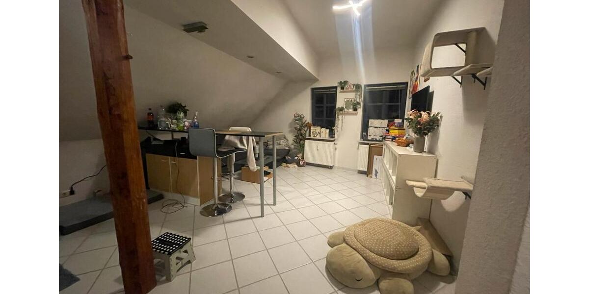 Dachgeschoßwohnung Springe - 2 Zimmer, 52 m&sup2;, 650&euro; | Angebot:25421691