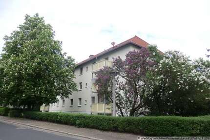Wohnung Riesa Pausitz - 2 Zimmer, 43 m&sup2;, 295&euro; | Angebot:27298691