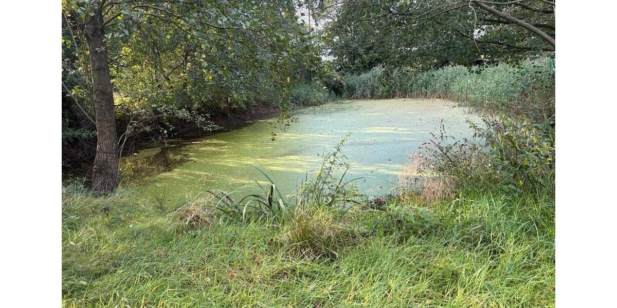 Fischteiche zu verpachten, Teich Pacht Wienhausen bei Celle zimmer