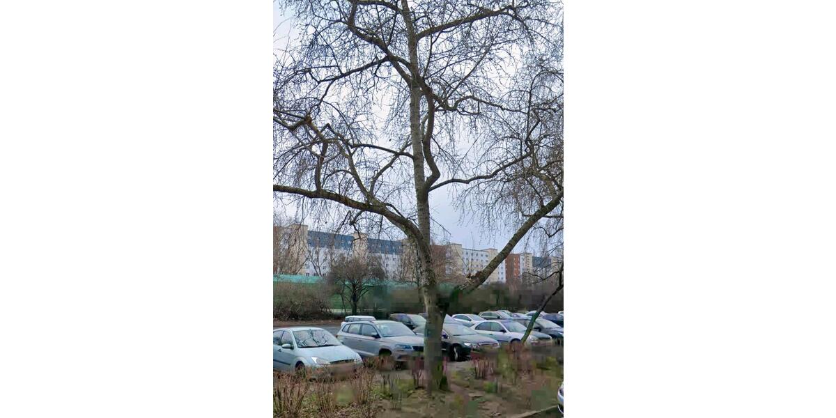 Etagenwohnung Magdeburg Barleber See - 3 Zimmer, 66 m&sup2;, 580&euro; | Angebot:26626148