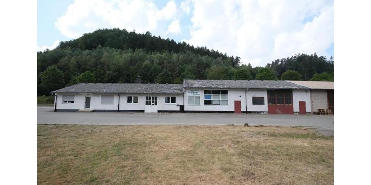 Halle (Lager, Produktion, Werkstatt) 100qm verkehrsgünstig in 66976 Rodalben zu vermieten zimmer