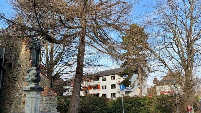 Etagenwohnung Überlingen - 2 Zimmer, 65 m&sup2;, 970&euro; | Angebot:25693060
