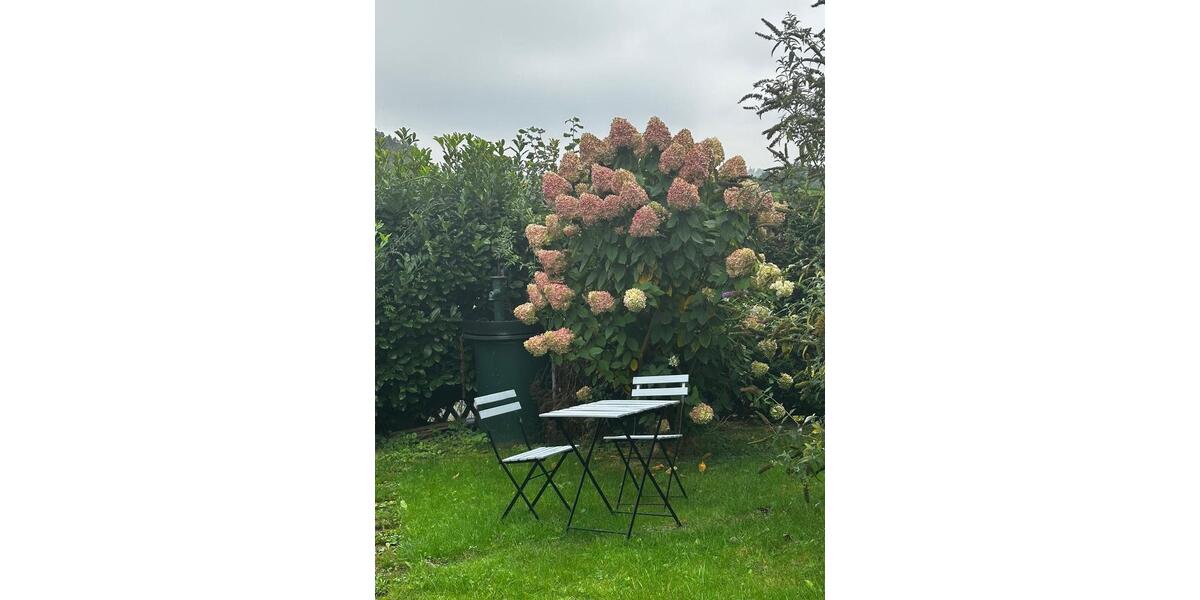 Wohnen auf Zeit Neunkirchen-Seelscheid Seelscheid - 2 Zimmer, 60 m&sup2;, 990&euro; | Angebot:24689119