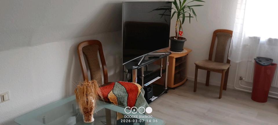 Wohnen auf Zeit Mengen - 1 Zimmer, 25 m&sup2;, 550&euro; | Angebot:25400487