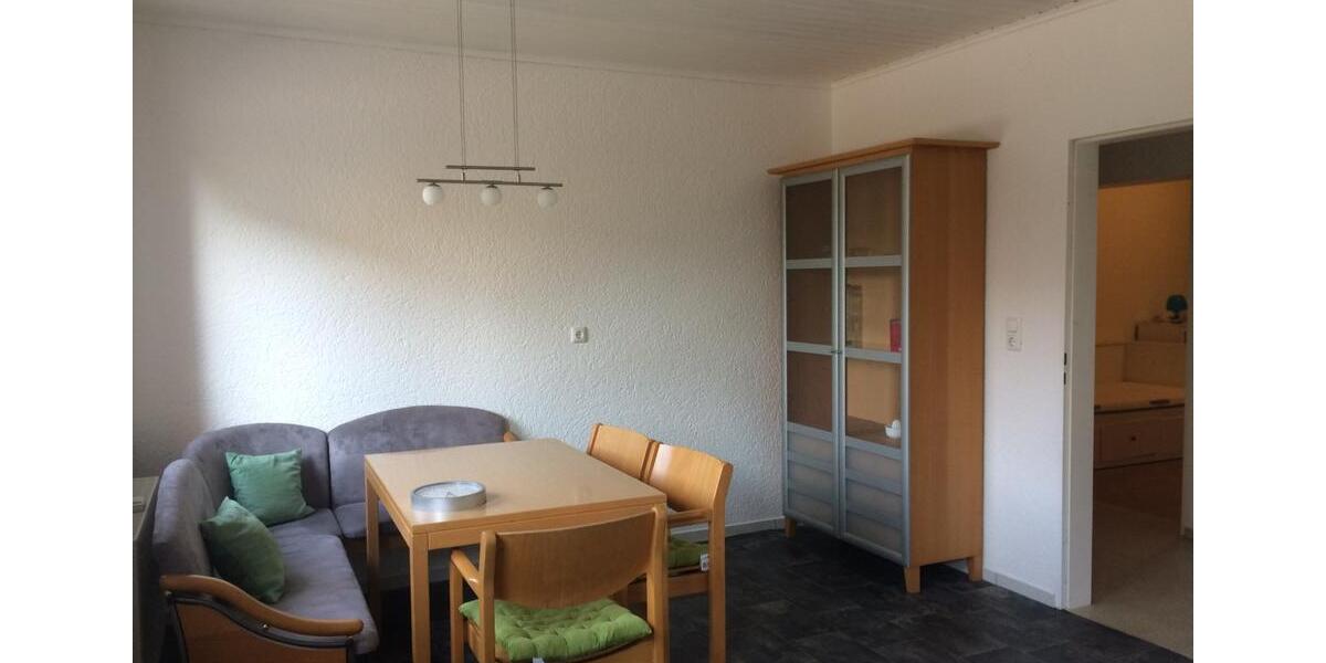 Wohnen auf Zeit Mintraching - 1 Zimmer, 25 m&sup2;, 500&euro; | Angebot:24840902