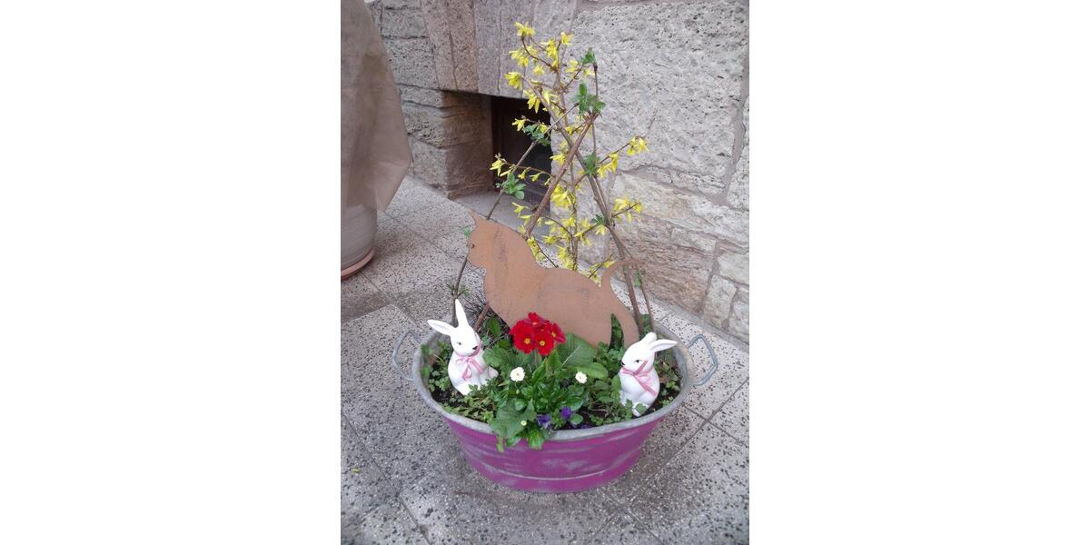 Erdgeschoßwohnung Bad Bocklet - 2 Zimmer, 77 m&sup2;, 550&euro; | Angebot:25857771