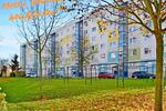 Etagenwohnung Sangerhausen - 2 Zimmer, 42 m&sup2;, 255&euro; | Angebot:26379994