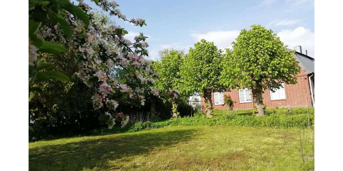 Etagenwohnung Herzhorn - 4 Zimmer, 121 m&sup2;, 750&euro; | Angebot:27069256