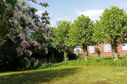 Wohnung Herzhorn - 4 Zimmer, 121 m&sup2;, 750&euro; | Angebot:27069256