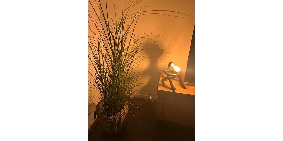 Etagenwohnung Marl - 3 Zimmer, 75 m&sup2;, 1.250&euro; | Angebot:24712309