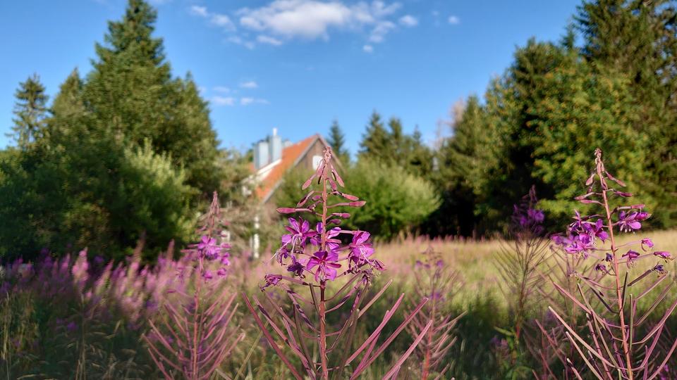 Wohnen auf Zeit Bad Harzburg - 3 Zimmer, 60 m&sup2;, 850&euro; | Angebot:26234846