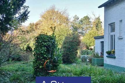 Wohnung zum Mieten in Krefeld 530 € 63 m² 3 zimmer